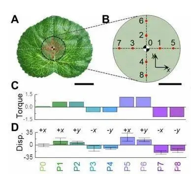 Aigtek安泰电子:Swimming Leaf水下软体机器人的研究成果分享 Aigtek安泰电子:Swimming Leaf水下软体机器人的研究成果分享